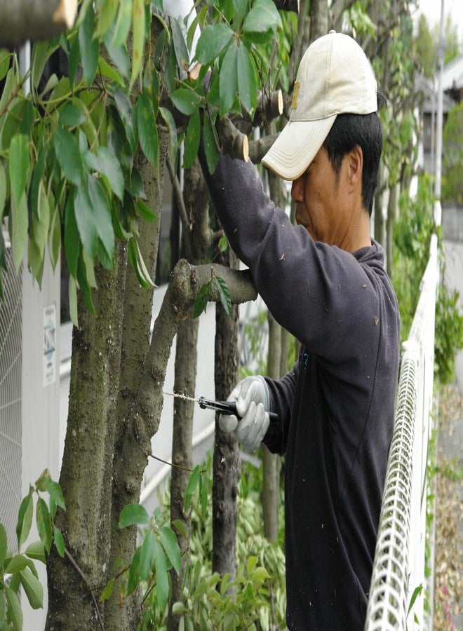 سيلكي منشار قابل للطي احترافي من سيلكي جومبوي، 270 مم، أسنان متوسطة (121-27) - Image 3